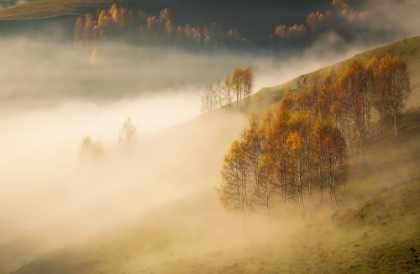 Picture of AUTUMN MORNING FROM APUSENI MOUNTAINS