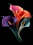 Picture of ART FLOWER 6