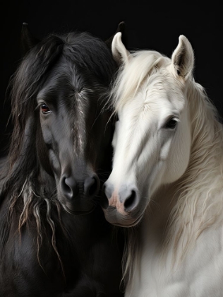 Picture of BW HORSES 3