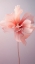 Picture of DELICATE FLOWERS 4