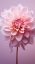 Picture of DELICATE FLOWERS 9