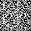 Picture of BLACK ON WHITE SLICES