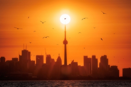 Picture of SUN RISING BEHIND TORONTO