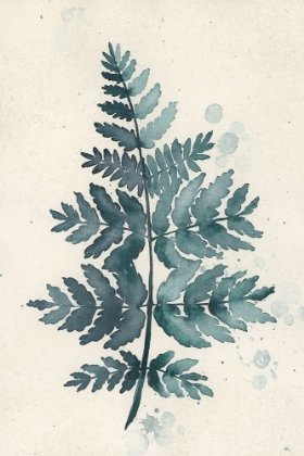 Picture of TEAL WATERCOLOR FERN 1