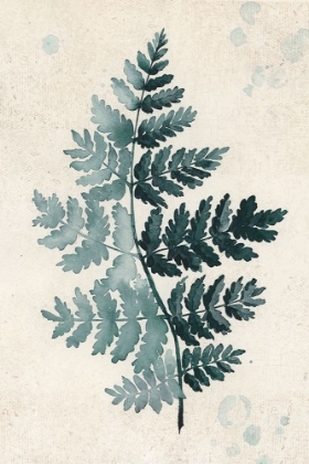 Picture of TEAL WATERCOLOR FERN 2