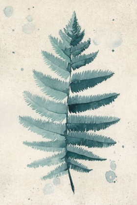 Picture of TEAL WATERCOLOR FERN 6