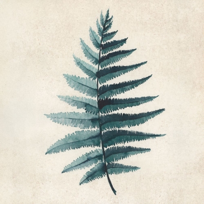 Picture of TEAL WATERCOLOR FERN 5