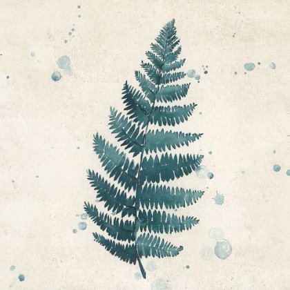 Picture of TEAL WATERCOLOR FERN 3