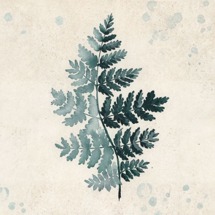 Picture of TEAL WATERCOLOR FERN 2