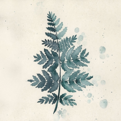 Picture of TEAL WATERCOLOR FERN 1