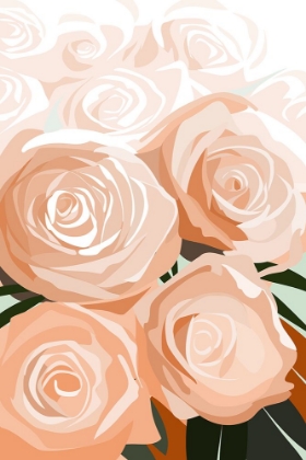 Picture of CORAL ROSES