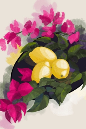 Picture of BOUGAINVILLEA AND LEMONS