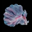Picture of THE FLOWER OF BETTA