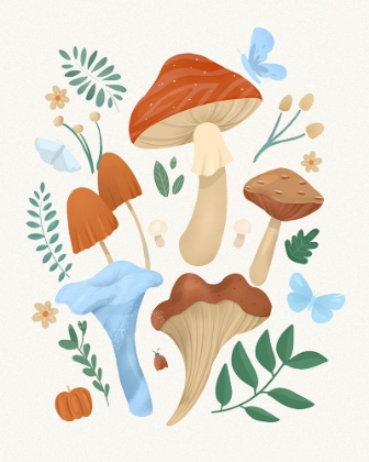 Picture of FUNGI