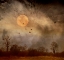 Picture of OCTOBER RUST...