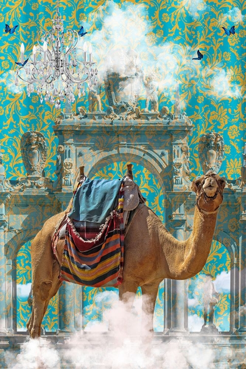 Picture of CAMEL ADVENTURES