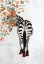 Picture of ZEBRA FLOWER HEAD 01