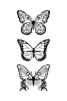 Picture of BLACK BUTTERFLIES