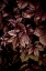 Picture of AUTUMN LEAVES 13