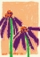Picture of ECHINACEA