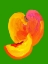 Picture of PEACH SLICE LOVE