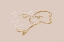 Picture of BIRD