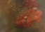 Picture of HIDDEN