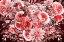 Picture of MORNING BLOOMS RAPHAEL