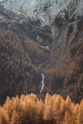 Picture of THE DRAPERY FALLS