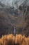 Picture of THE DRAPERY FALLS