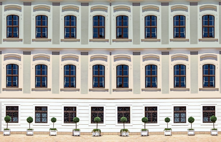 Picture of OLD WINDOW FACADE