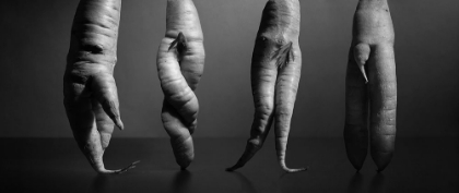Picture of A STILL LIFE WITH CARROTS. NOTHING ELSE...