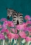 Picture of ZEBRA IN A FIELD OF FLOWERS