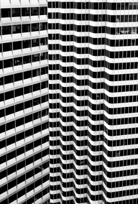 Picture of UNTITLED