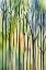 Picture of TREES OF COLOUR