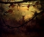 Picture of AUTUMN DREAMS...