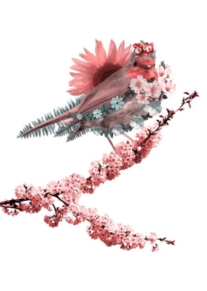 Picture of BLOOMING BIRD