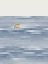 Picture of OTTER POP