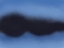 Picture of BLACK SPRAY