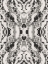Picture of ORGANIC SYMMETRICAL PATTERN