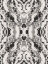 Picture of ORGANIC SYMMETRICAL PATTERN