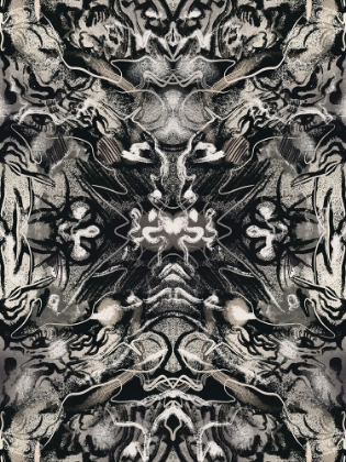 Picture of ORGANIC SYMMETRICAL ABSTRACT