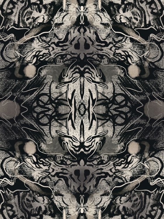 Picture of ORGANIC SYMMETRICAL ABSTRACTION