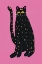 Picture of BLACK CAT