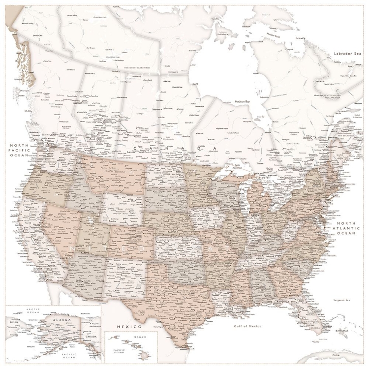 Picture of HIGHLY DETAILED MAP OF THE UNITED STATES, LOUIE