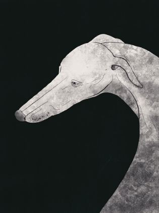 Picture of GREYHOUND BLACK AND WHITE 02