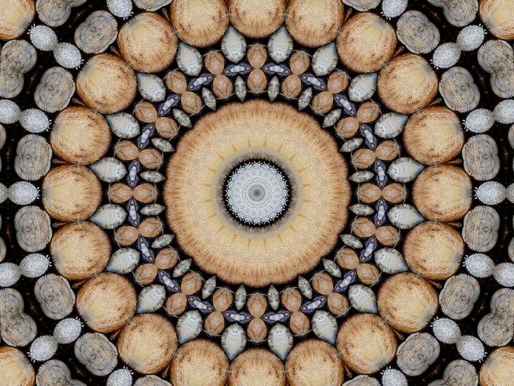 Picture of WOOD ART