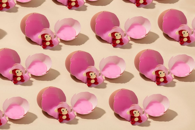 Picture of MONKEY HATCHING