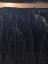 Picture of ACSAANDSUP3;IEDM