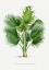Picture of XXVII THRINAX B